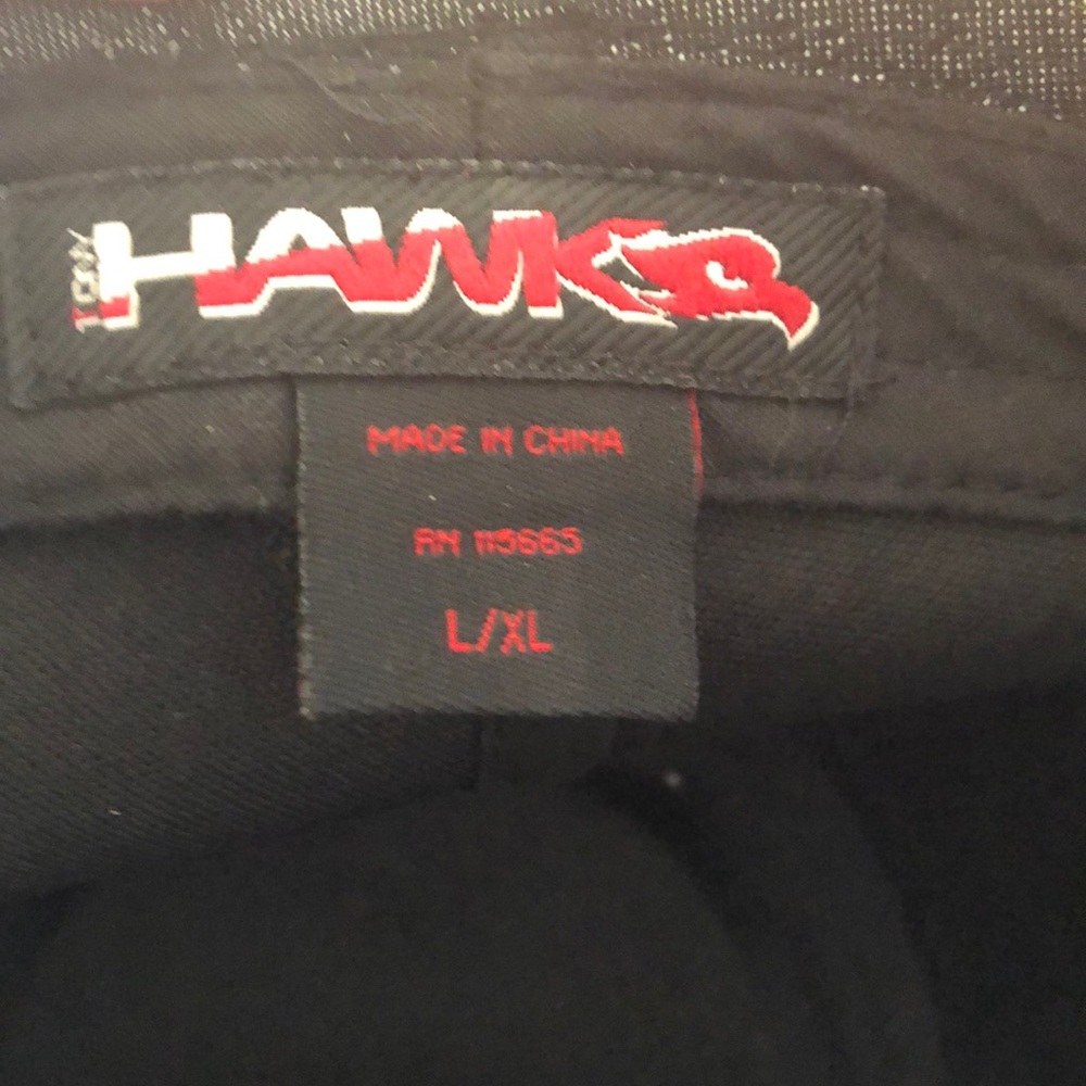 Hawk - Picture 3 of 4